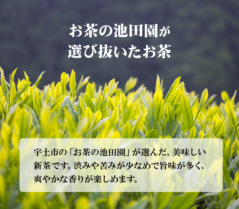 56-25　お茶の池田園　高級深蒸し煎茶100g×3本