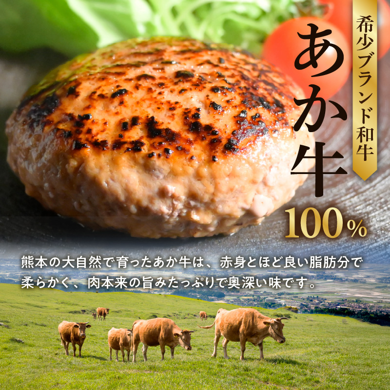 117-49　オアシス九州　熊本県産あか牛ハンバーグ150ｇ×10個