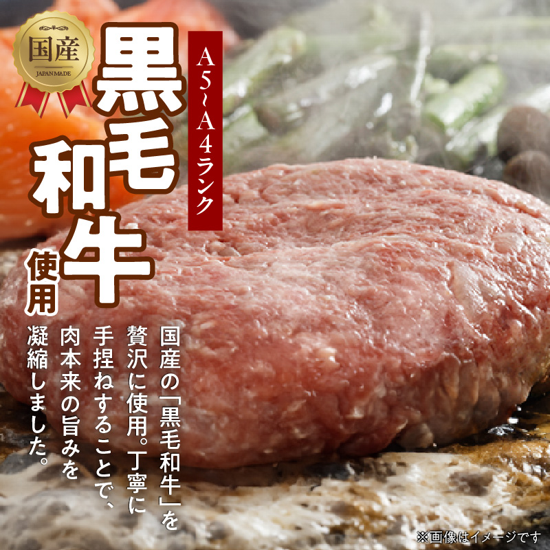 123-2 洋食亭 ハンバーグ120ｇ×10 ステーキソース１本セット: 宇土市ANAのふるさと納税