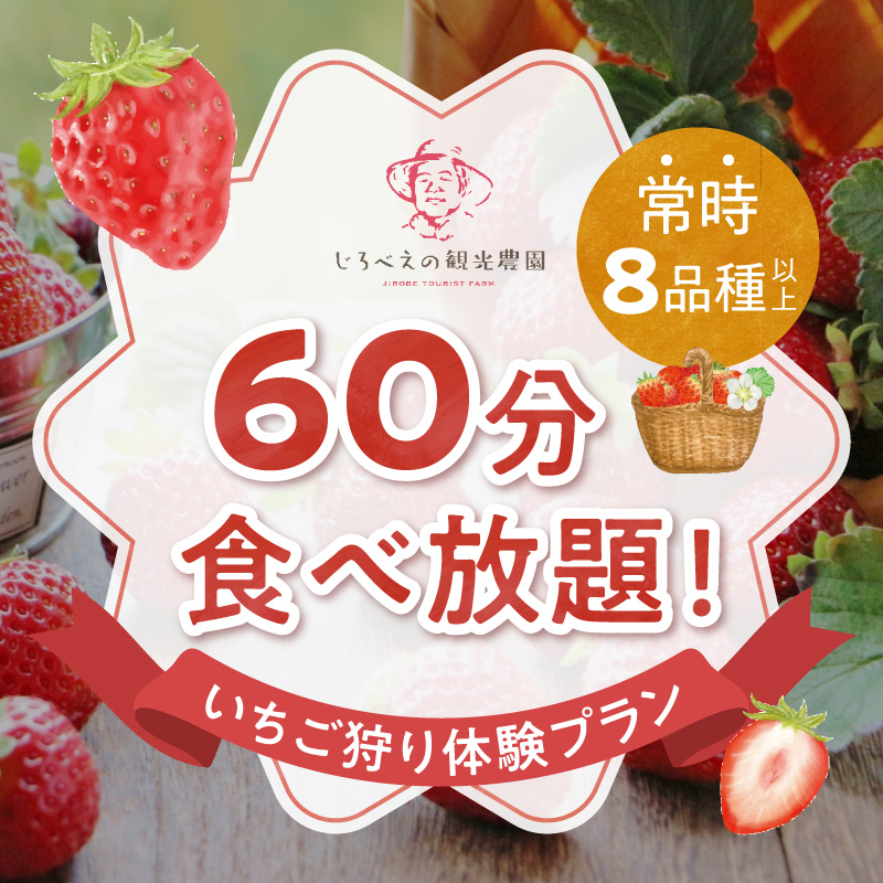 142-1　じろべえの観光農園 いちご狩り体験！大人２名様分！