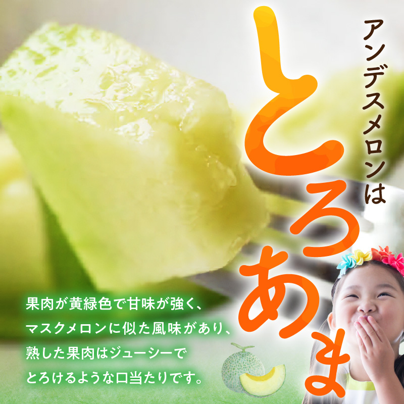 143-1　河野FARM アンデスメロン2玉