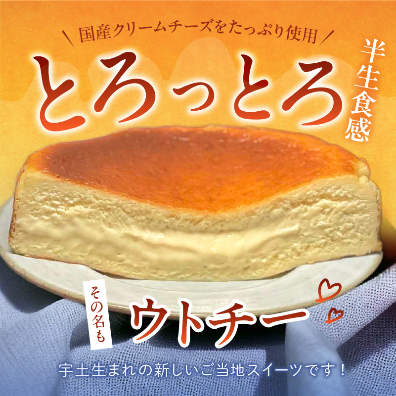 145-1　赤い看板　バスクチーズケーキ(プレーン) 【プレーン】バスクチーズケーキ