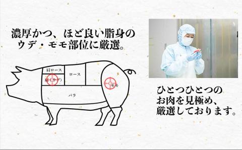 117-22　オアシス九州　九州産黒豚（味噌漬け）切り落とし　1.2ｋｇ（小分け）　冷凍