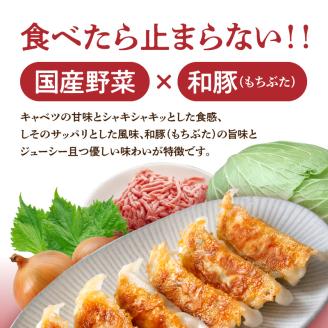 119-2 口福餃子「和（もち）豚」使用　しそ入り餃子（冷凍生）