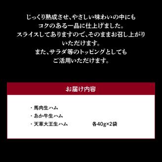 129-4　くまもとの生ハムセット