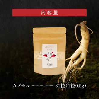 128-19　高麗人参(カプセル0.5ｇ×31粒)