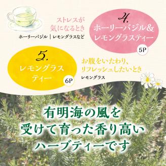 42-15熊本県産農薬不使用ハーブティー　５種セット