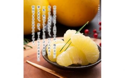 64-50　あいあい　パール柑　約5kg