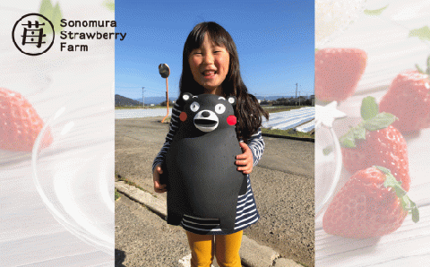 74-37　園村苺園完熟冷凍いちご！「ぷち苺」と「さら苺」各4カップ　練乳付き In くまモンの箱入り