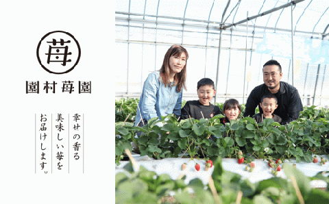 74-41　園村苺園　熊本県宇土産 完熟冷凍いちご「さら苺」1kg（500g×2パック）