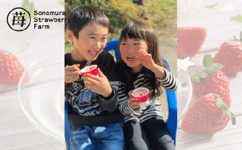 74-36　園村苺園　宇土産 完熟冷凍いちご「ぷち苺」と「さら苺」各6カップ　練乳付き