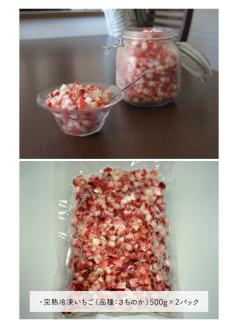 74-20　園村苺園　宇土産 完熟冷凍いちご「ぷち苺」1kg（500g×2パック）