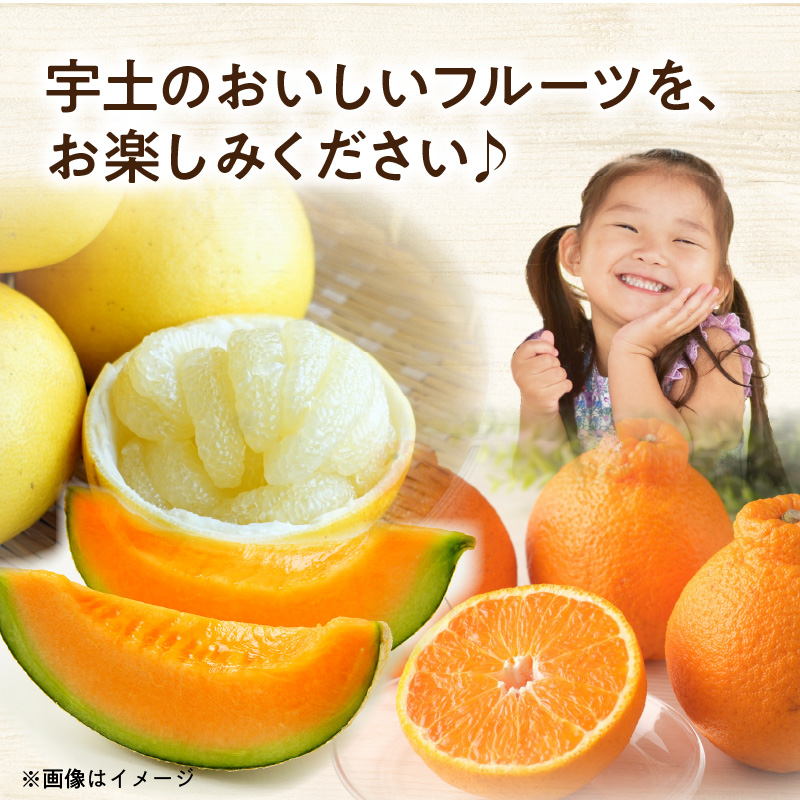 T007-haruiro【宇土市】はるいろ定期便