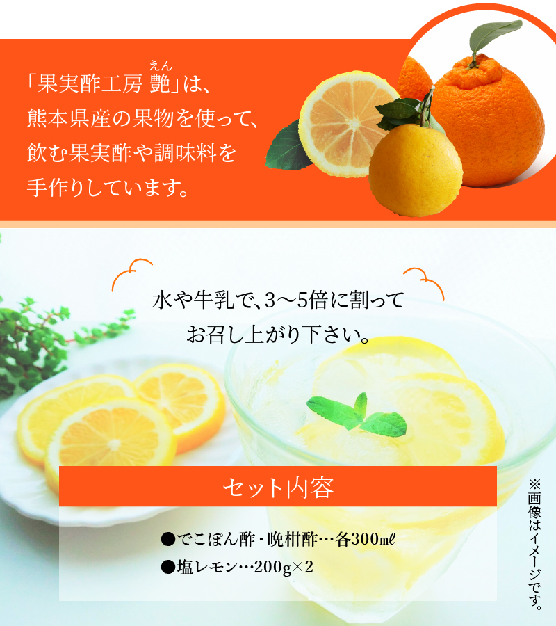 34-8　果実酢２本・塩レモン　セット(B)