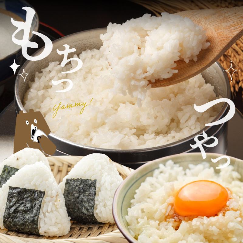 T6-70-270_1　【定期便6回】＼先行予約☆新米☆／カワノ農園　白米5kg「森のくまさん」MOA自然農法米 【定期便6回】白米5kg「森のくまさん」MOA自然農法米