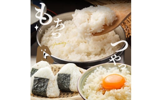 70-270_5　＼先行予約☆新米☆／カワノ農園　玄米5kg「森のくまさん」MOA自然農法米 玄米5kg「森のくまさん」MOA自然農法米