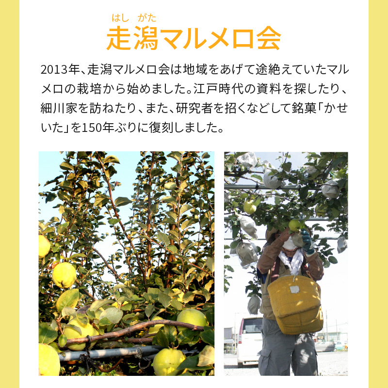 87-3　走潟マルメロ会　「時献上」(かせいた・マルメロペースト)