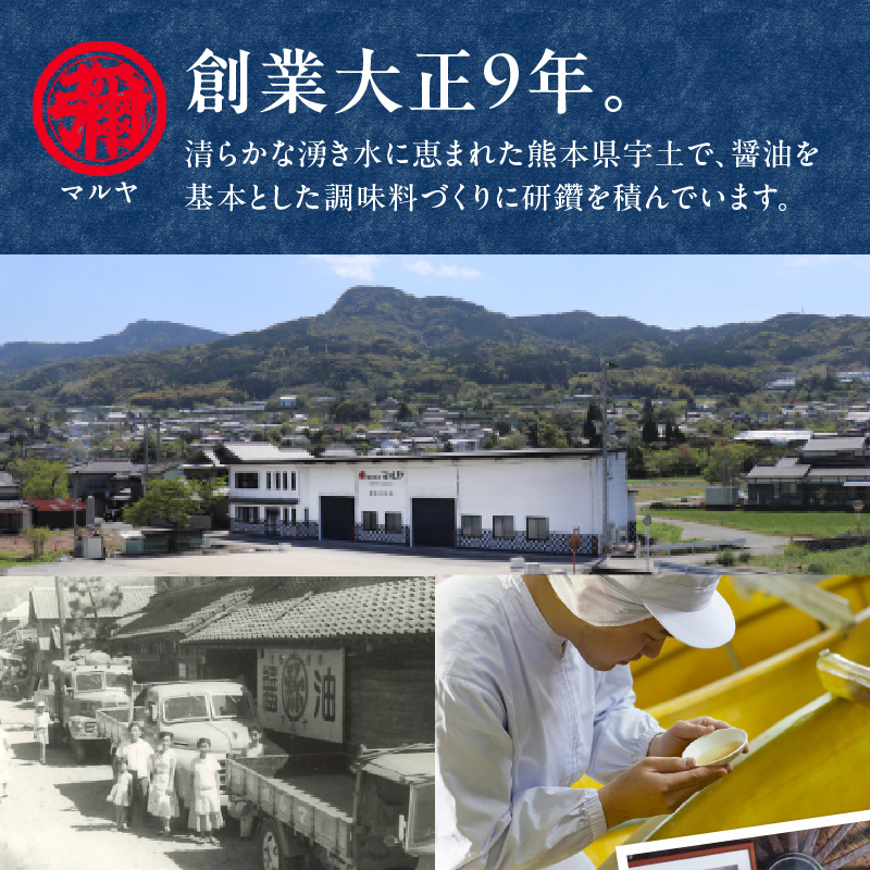 94-9　マルヤ　  魔法のつゆ750ml ×6本セット