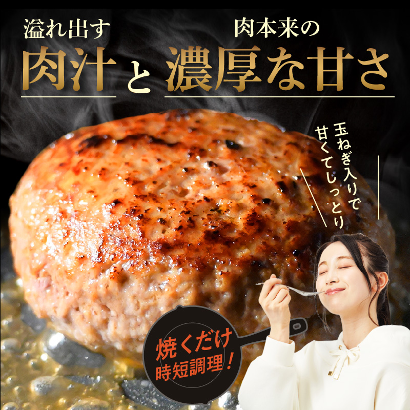 117-48　オアシス九州　熊本県産あか牛ハンバーグ150ｇ×5個