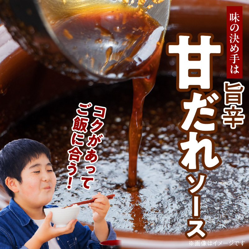 123-1 洋食亭　　厚切りハラミの漬け込みステーキ約200ｇ×６、旨辛甘だれソース(約200ｇ)