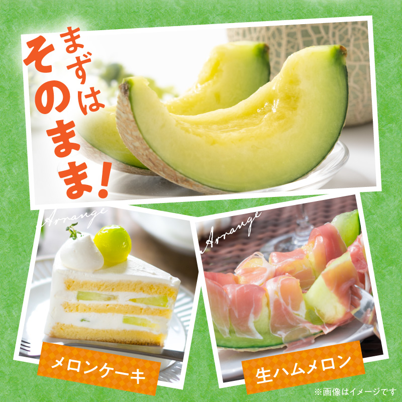 143-1　河野FARM アンデスメロン2玉