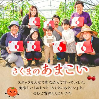 137-1　熊本県産　ミニトマト　約1.5kg　「さくまのあまこい」