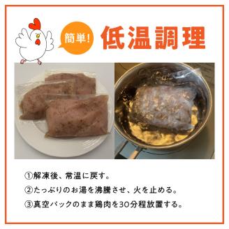 117-04 オアシス九州　ジューシーチキン 約2.6㎏