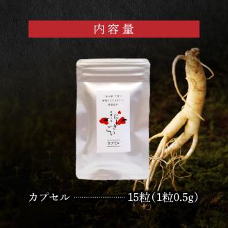 128-24　高麗人参 　カプセル15粒