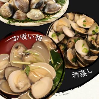 111-2　KKN水産　天然!! 有明海産の本ハマグリ（小　約1.2kg）