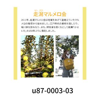 87-6　走潟マルメロ会「時献上」125g×2(かせいた・マルメロペースト)