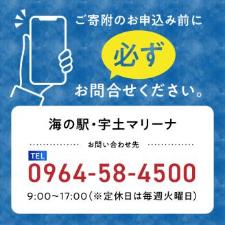 124-4　【海の駅・宇土マリーナ】ボートレンタル・ライセンス・陸地保管・係留料ご利用割引券 D