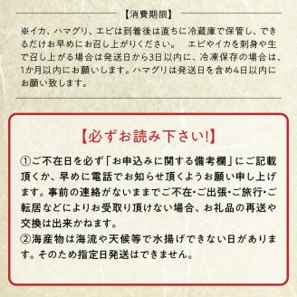 46-25 はまぐり 本はまぐり 約 1kg 漁協直送 網田 有明海産 魚介 貝 海鮮 国産 天然 バーベキュー BBQ 和食 パエリア お吸い物 酒蒸し 焼はま 網焼き 食品 お取り寄せ お取り寄せグルメ 送料無料 【熊本県宇土市】