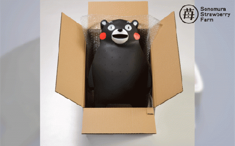 74-34　園村苺園　完熟冷凍いちご！「さら苺」８カップ練乳付き in くまモンの箱入り