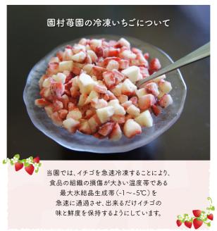 74-20　園村苺園　宇土産 完熟冷凍いちご「ぷち苺」1kg（500g×2パック）