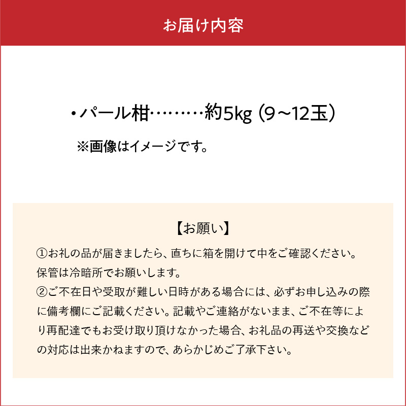 64-50　あいあい　パール柑　約5kg