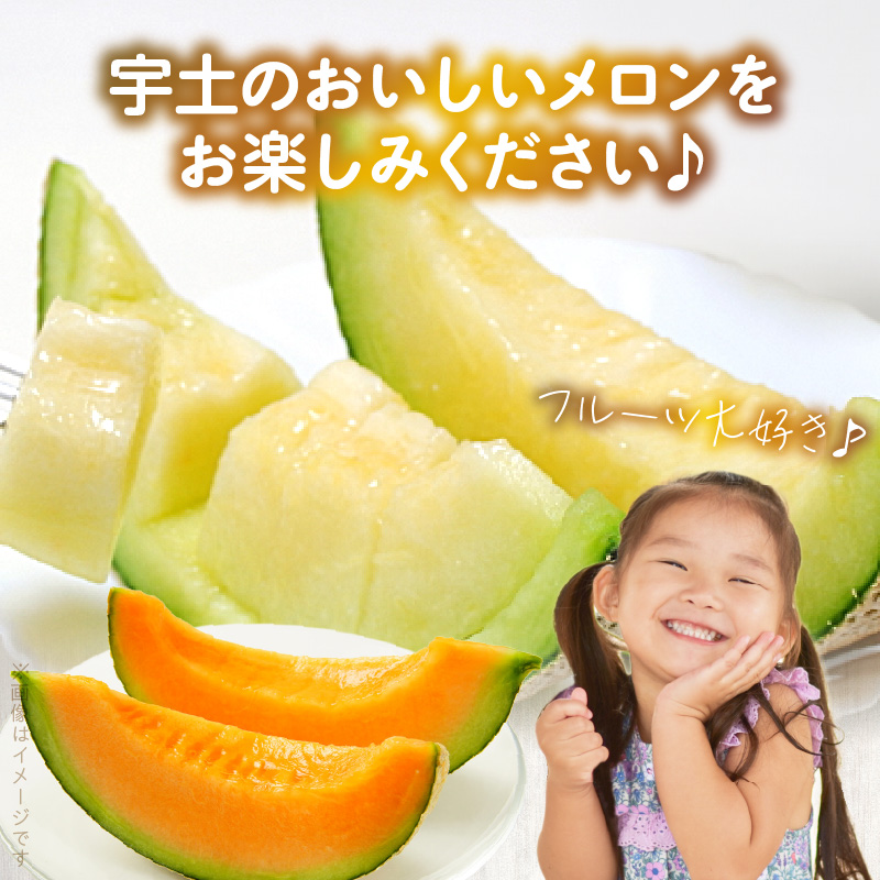 T006-meron【メロン便】年に3回お届け！メロン専門の定期便！