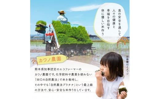 T6-70-271_5　【定期便6回】＼先行予約☆新米☆／カワノ農園　玄米10kg「森のくまさん」MOA自然農法米 【定期便6回】玄米10kg「森のくまさん」MOA自然農法米