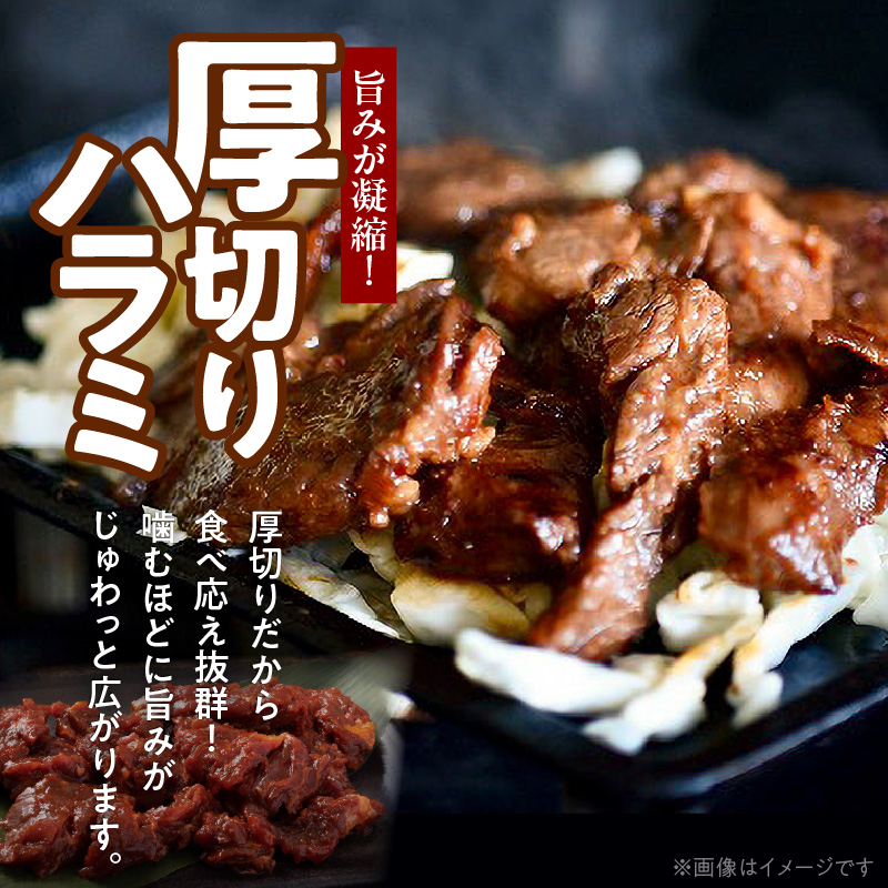 123-1 洋食亭　　厚切りハラミの漬け込みステーキ約200ｇ×６、旨辛甘だれソース(約200ｇ)