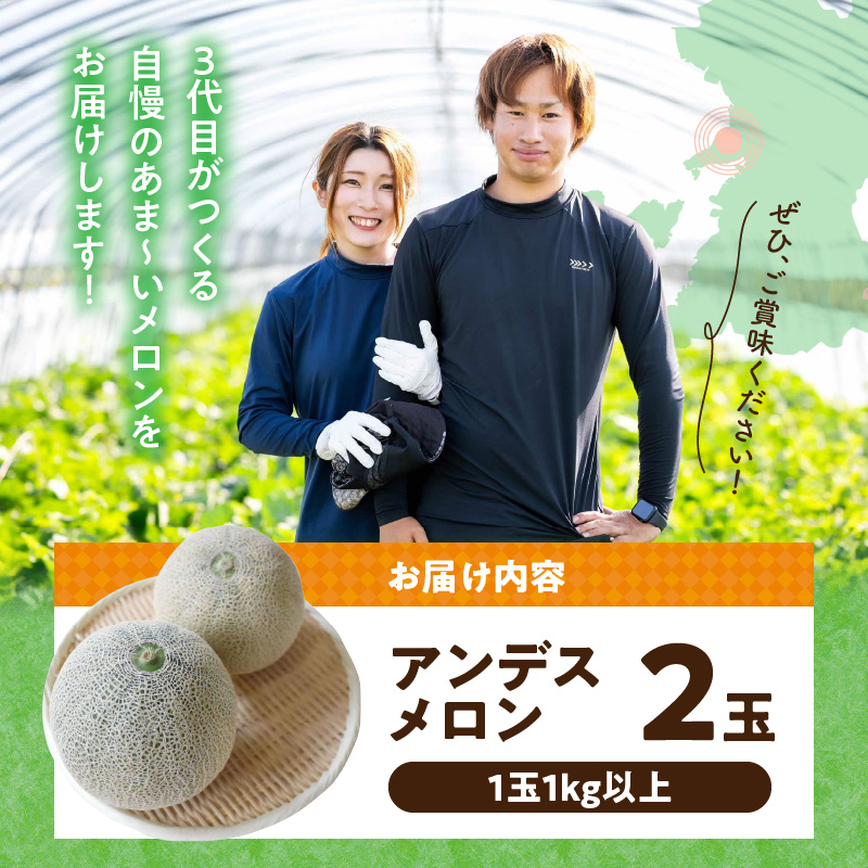 143-1　河野FARM アンデスメロン2玉