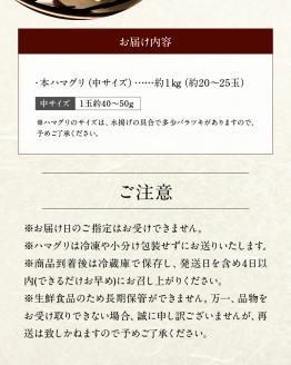 111-3　KKN水産　天然!! 有明海産の本ハマグリ（中サイズ　約１㎏）