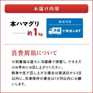 46-25 はまぐり 本はまぐり 約 1kg 漁協直送 網田 有明海産 魚介 貝 海鮮 国産 天然 バーベキュー BBQ 和食 パエリア お吸い物 酒蒸し 焼はま 網焼き 食品 お取り寄せ お取り寄せグルメ 送料無料 【熊本県宇土市】