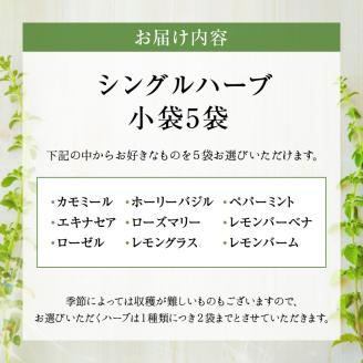 42-16　熊本ハーブ園レモングラス産 農薬不使用シングルハーブ小袋5袋セット