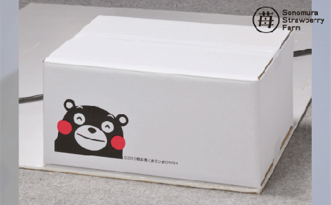 74-31　園村苺園　完熟冷凍いちご！「ぷち苺」８カップ練乳付き in くまモンの箱入り