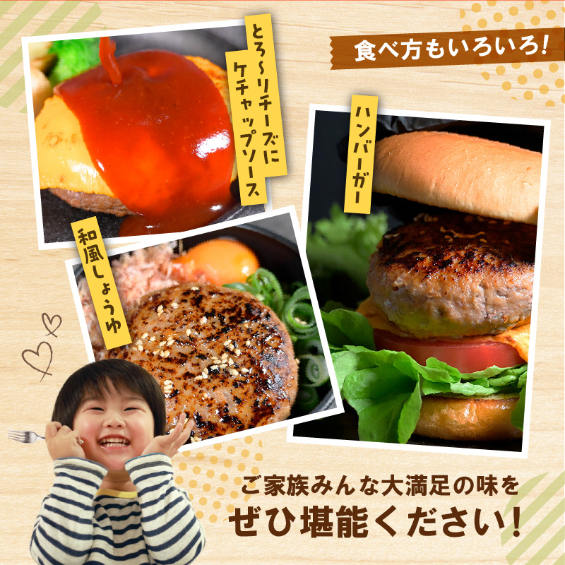 117-48　オアシス九州　熊本県産あか牛ハンバーグ150ｇ×5個