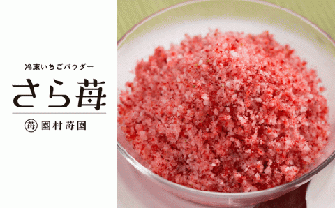 74-41　園村苺園　熊本県宇土産 完熟冷凍いちご「さら苺」1kg（500g×2パック）