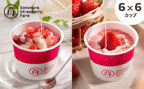 74-36　園村苺園　宇土産 完熟冷凍いちご「ぷち苺」と「さら苺」各6カップ　練乳付き
