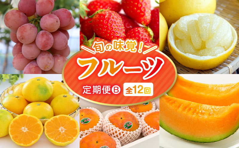 T002-2026　【フルーツ定期便B】2026年旬の味覚限定セット！