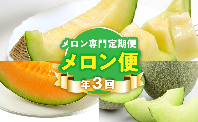 T006-meron【メロン便】年に3回お届け！メロン専門の定期便！