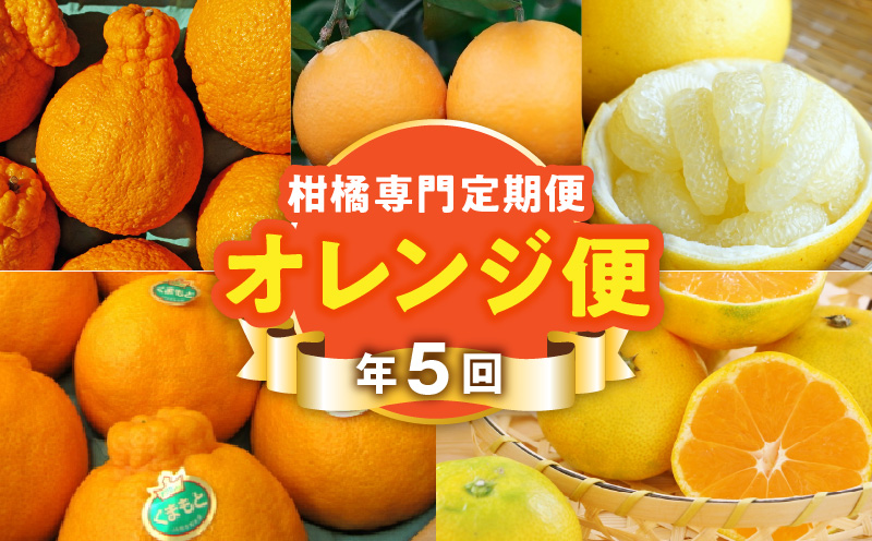 T006-mikan【オレンジ便】年に5回お届け！柑橘専門の定期便！