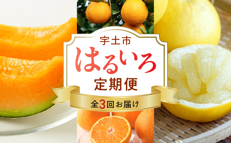 T007-haruiro【宇土市】はるいろ定期便